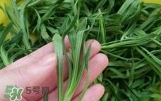 面條菜是發(fā)物嗎?面條菜孕婦可以吃嗎? 面條菜是發(fā)物嗎?面條菜孕婦可以吃嗎?