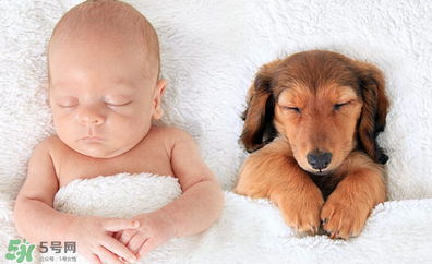 益生菌嬰兒怎么吃？益生菌嬰兒的吃法