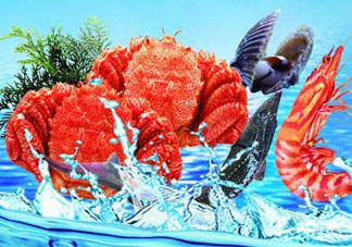 五月份吃什么海鮮？5月份吃什么海鮮？