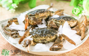 五月份可以吃螃蟹嗎？5月份可以吃螃蟹嗎？