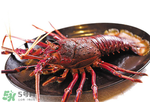 五月份能吃龍蝦嗎？5月份可以吃小龍蝦嗎？