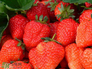 五月份還有草莓嗎？5月份還有草莓嗎？