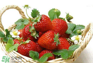 五月份還有草莓嗎？5月份還有草莓嗎？
