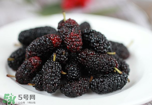 桑葚多少錢一斤？桑葚多少錢一斤2017？