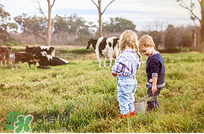 貝拉米有機(jī)米粉怎么樣？貝拉米有機(jī)米粉好不好？
