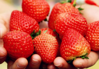 五月份還有草莓嗎？5月份還有草莓嗎？