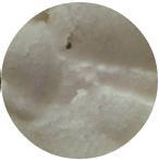 貝拉米米粉成分是什么？貝拉米米粉成分表