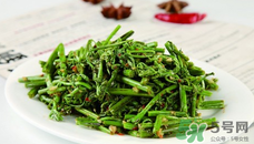 蕨苗能吃嗎？蕨苗可不可以吃？