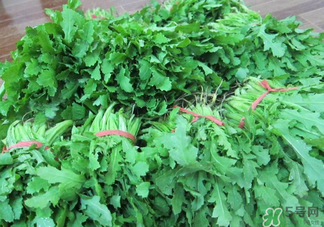 罌粟苗能當(dāng)菜吃嗎？罌粟苗可以當(dāng)菜吃嗎？