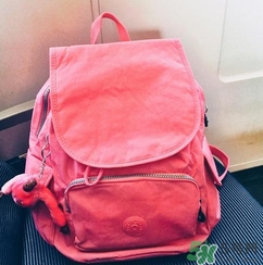 kipling凱浦林是什么牌子？kipling是哪個國家的品牌？