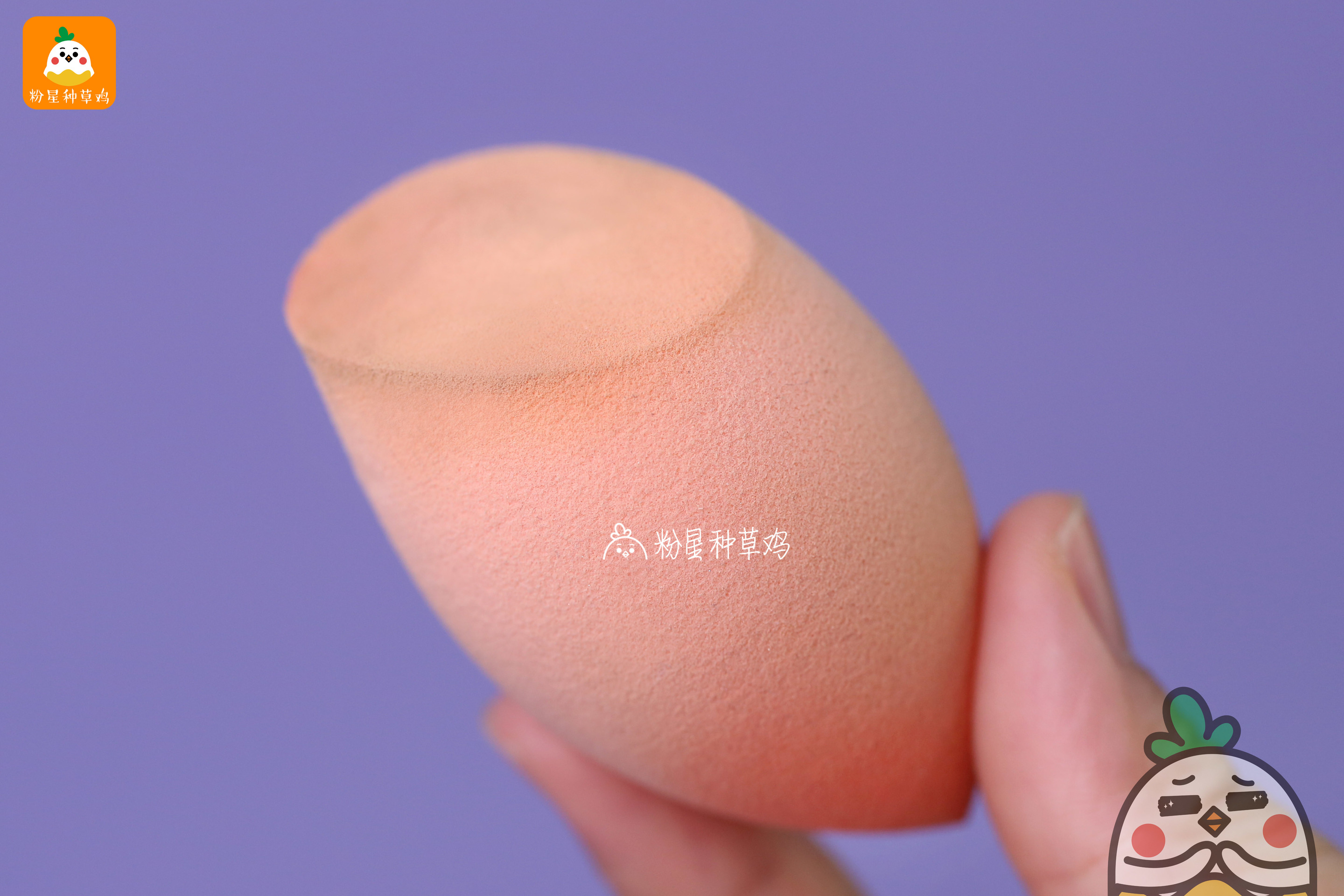 beauty blender美妝蛋和rt美妝蛋哪個(gè)好？