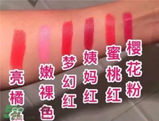 花肌源口紅色號 花肌源口紅試色 花肌源口紅色號 花肌源口紅試色