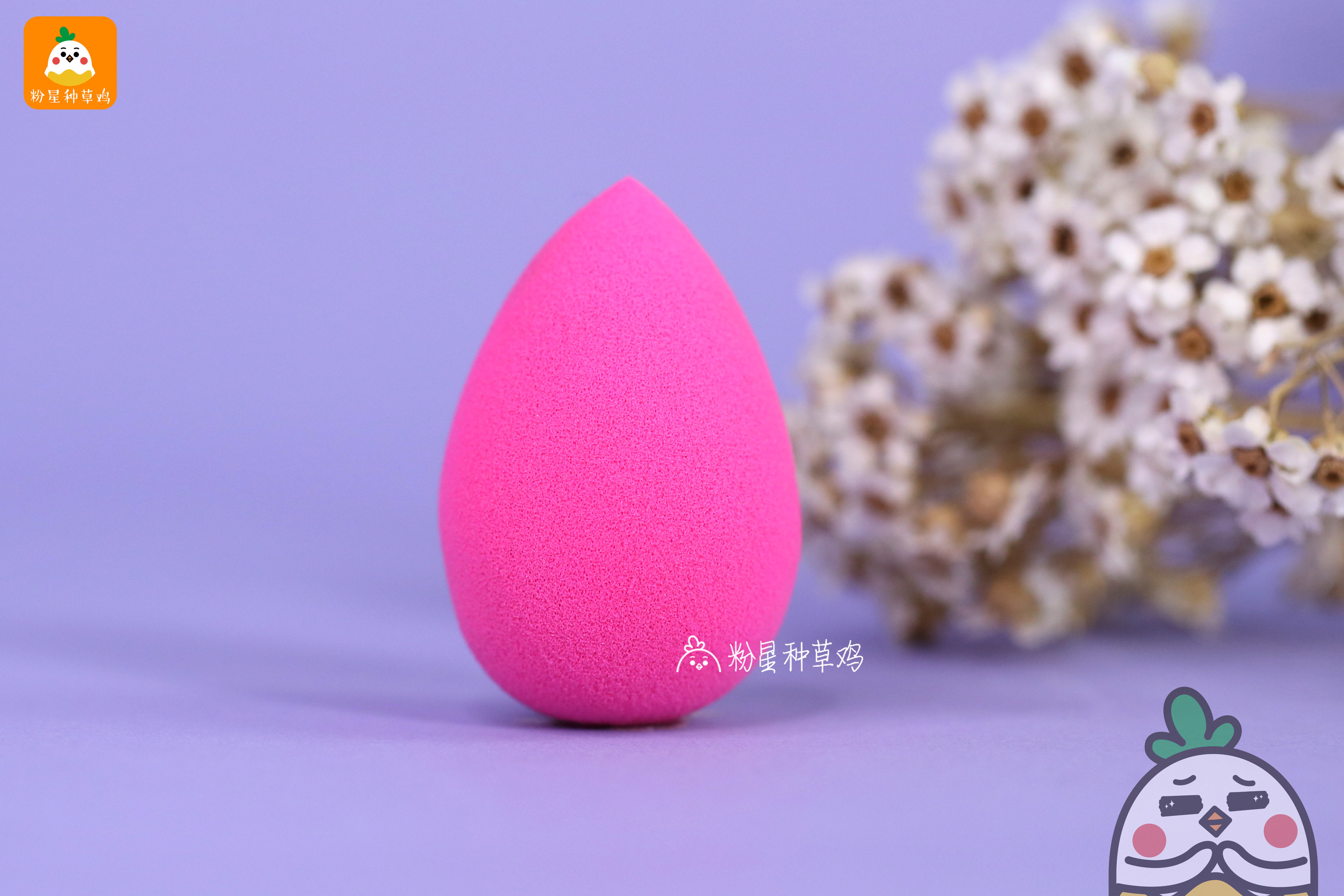 beauty blender美妝蛋和rt美妝蛋哪個(gè)好？