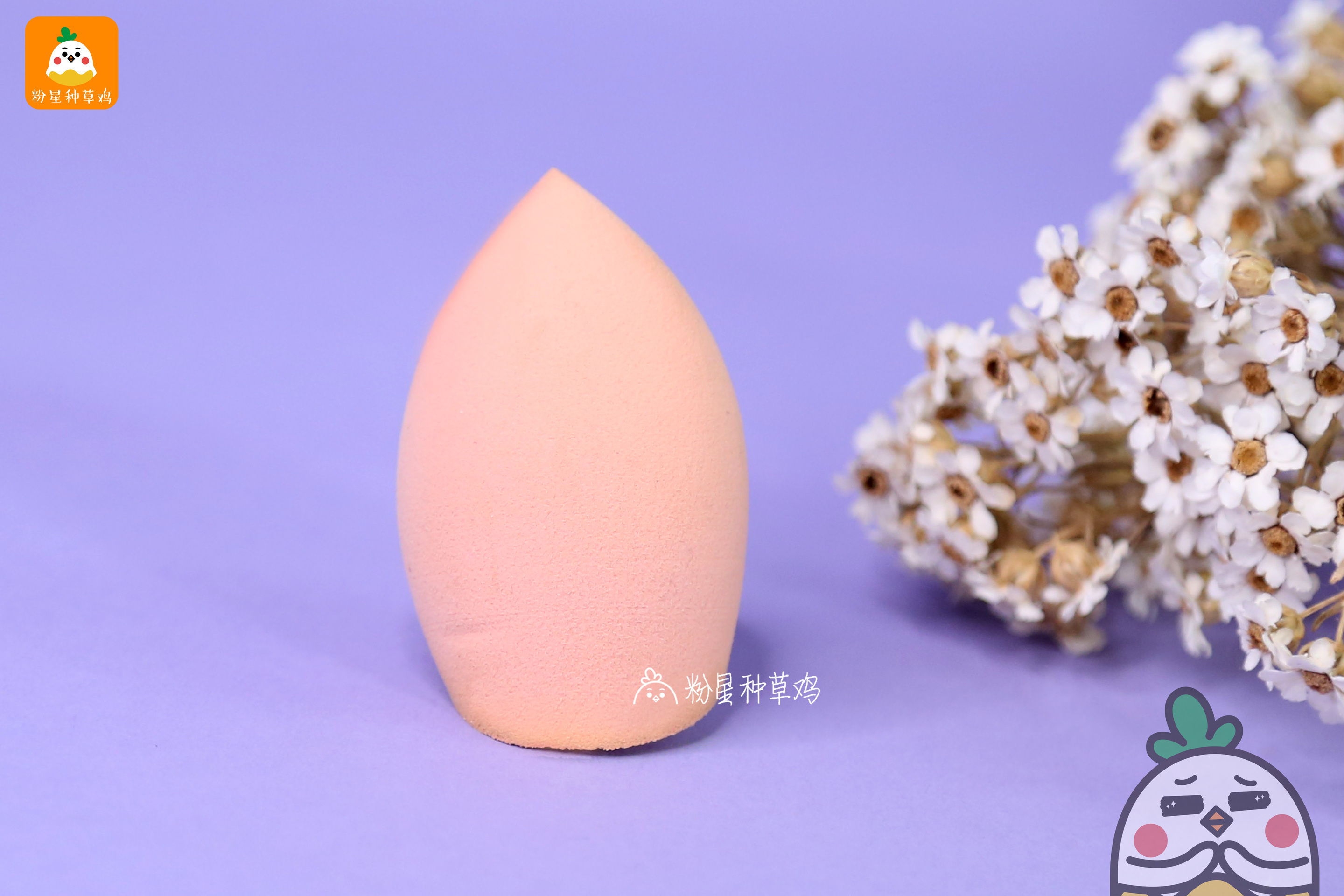 beauty blender美妝蛋和rt美妝蛋哪個(gè)好？