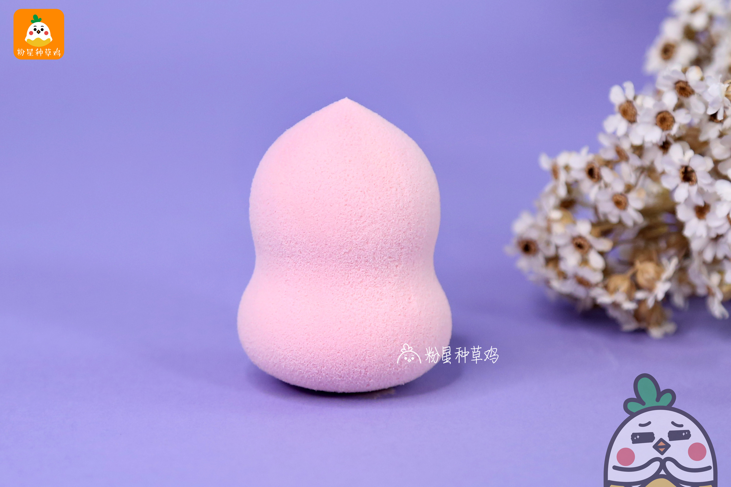beauty blender美妝蛋和rt美妝蛋哪個(gè)好？