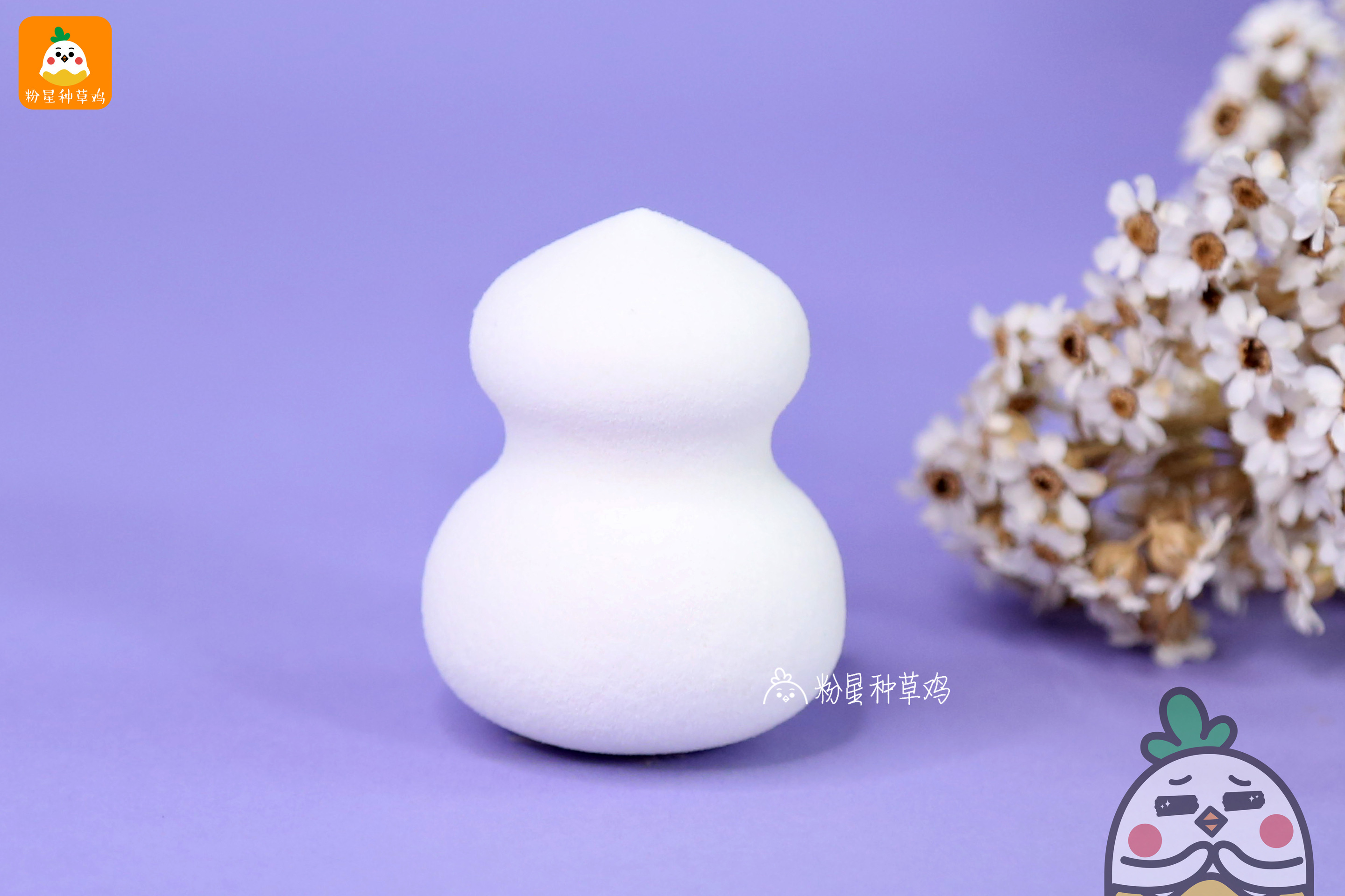 beauty blender美妝蛋和rt美妝蛋哪個(gè)好？