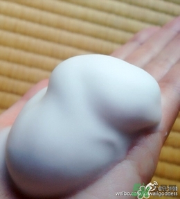 Rafra是什么牌子？是什么檔次？