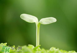 甲醛檢測儀哪個牌子好？哪個牌子的甲醛檢測儀好？