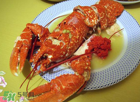 龍蝦多少錢一斤？龍蝦多少錢一斤2017？