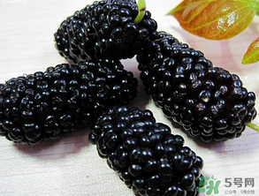 吃桑葚會(huì)拉黑便嗎？吃桑葚大便黑色怎么回事？