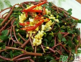 馬齒莧開花后還能吃嗎?馬齒莧開花后可以吃嗎? 馬齒莧開花后還能吃嗎?馬齒莧開花后可以吃嗎?