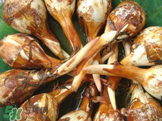 慈姑孕婦能吃嗎？孕婦能吃慈姑嗎？