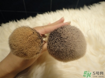 sigma化妝刷哪款好？sigma化妝刷推薦