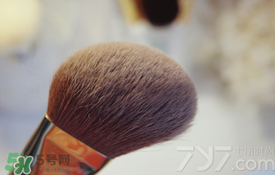 受受狼是哪個國家的？受受狼化妝刷推薦