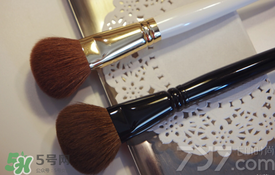 受受狼是哪個國家的？受受狼化妝刷推薦