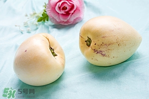 香瓜的功效與作用及禁忌 香瓜的功效與作用及食用方法 香瓜的功效與作用及禁忌 香瓜的功效與作用及食用方法