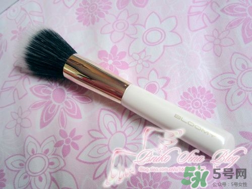 bloomy老爺家化妝刷哪款好？bloomy化妝刷推薦