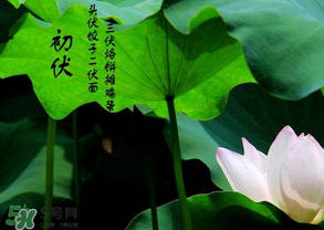 2017年頭伏是哪一天？2017年什么時(shí)候入伏？