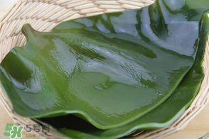 孕婦能吃海帶嗎？孕婦可以吃海帶嗎？