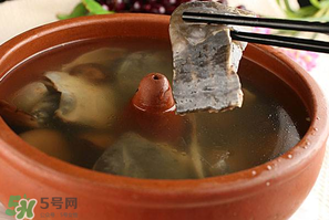 懷孕初期能吃甲魚嗎？懷孕初期可以吃甲魚嗎？