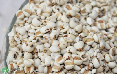 孕婦能吃米仁嗎？孕婦可以吃米仁嗎？