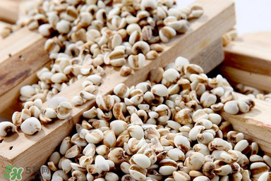 孕婦能吃米仁嗎？孕婦可以吃米仁嗎？