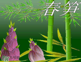 春筍多少錢一斤？春筍多少錢一斤2017？