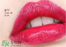 迪奧877是什么顏色？迪奧877適合黃皮嗎？