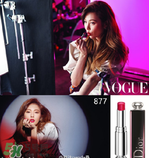 迪奧877是什么顏色？迪奧877適合黃皮嗎？