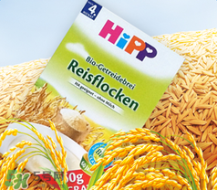 喜寶米粉怎么樣？喜寶米粉如何？