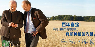 喜寶米粉怎么樣？喜寶米粉如何？