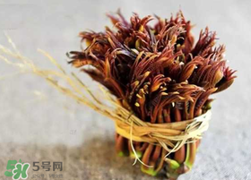 香椿幾月份可以吃？香椿什么時候吃？