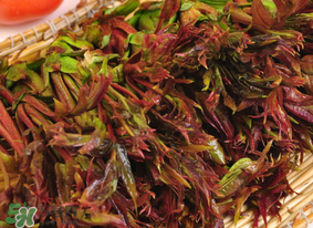 香椿幾月份可以吃？香椿什么時候吃？