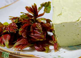 香椿為什么會苦？香椿苦味怎么回事？