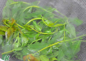 香椿為什么要焯水？香椿怎么焯水？
