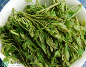 香椿什么人不能吃？香椿哪些人不能吃？