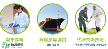 hipp喜寶米粉種類 喜寶米粉有多少種類？