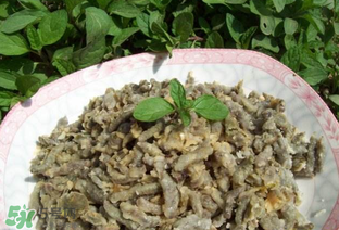 構(gòu)樹穗孕婦能吃嗎？孕婦能吃構(gòu)樹穗嗎？