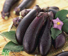 孕婦不能吃茄子嗎？為什么孕婦不能吃茄子？