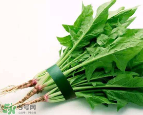 孕婦可以吃菠菜嗎？孕婦菠菜吃多了會(huì)怎樣？
